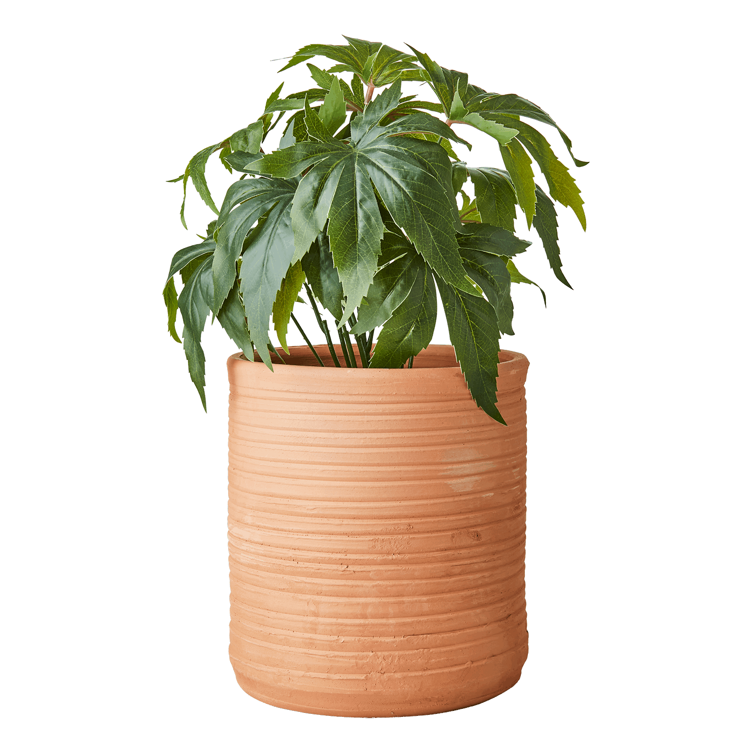 ALBIN Kruka M, Terrakotta Krukor & odlingslådor Affari of Sweden