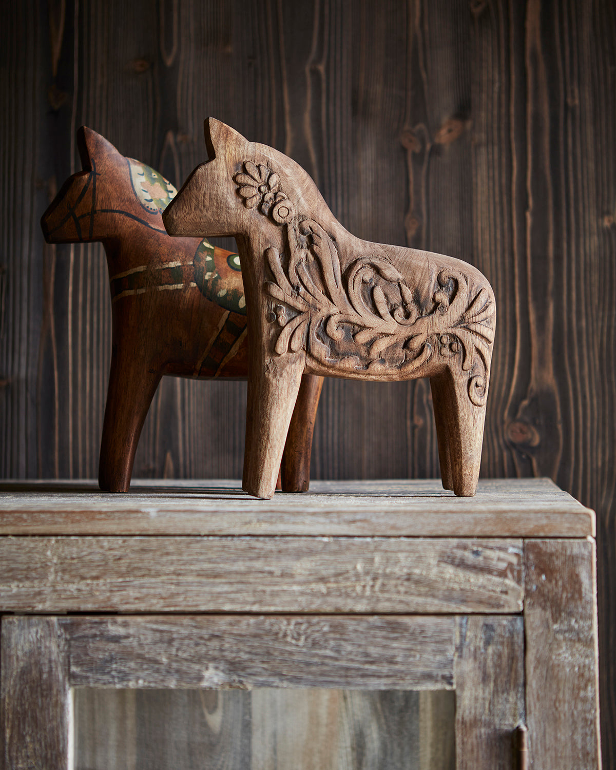 FÅLE Häst, Brun Affari of Sweden