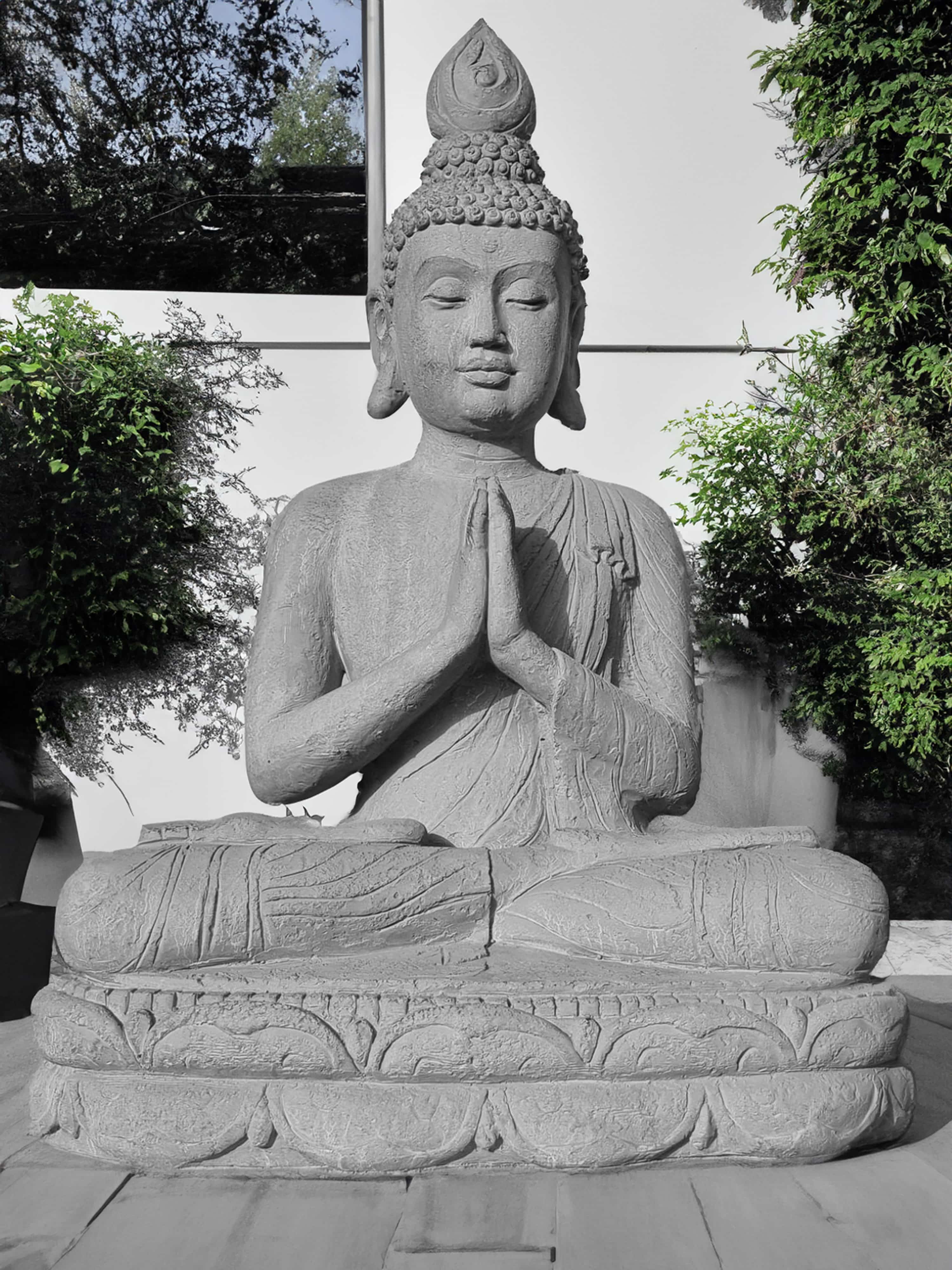 Trädgårdsstaty Guanyin Boeddha Beelden