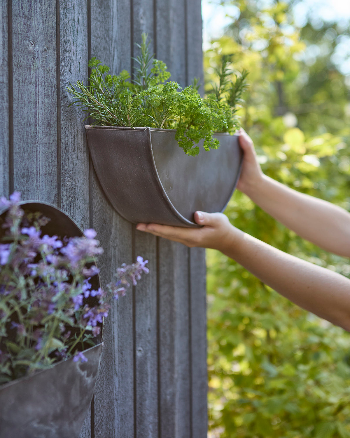 OLIVER Väggkruka, Mörkgrå Affari of Sweden