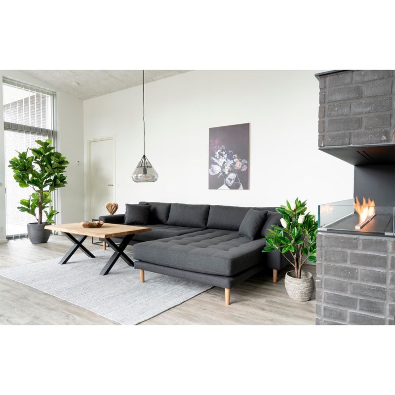 Konstväxt - Fiolfikus House Nordic