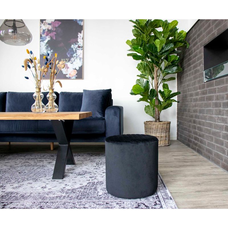 Konstväxt - Fiolfikus House Nordic
