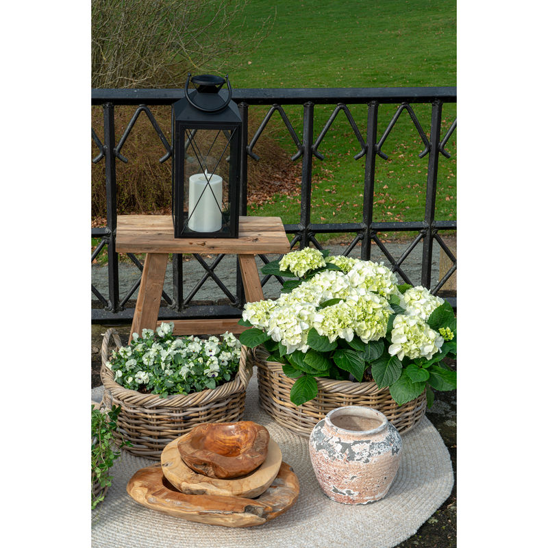 Rio Skål i teak L House Nordic