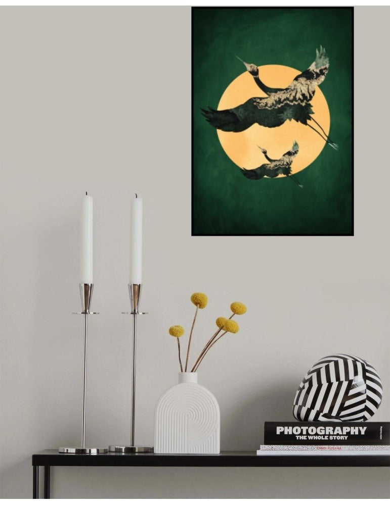 Affisch - Emerald Sun Aamp Cranes Pelcasa