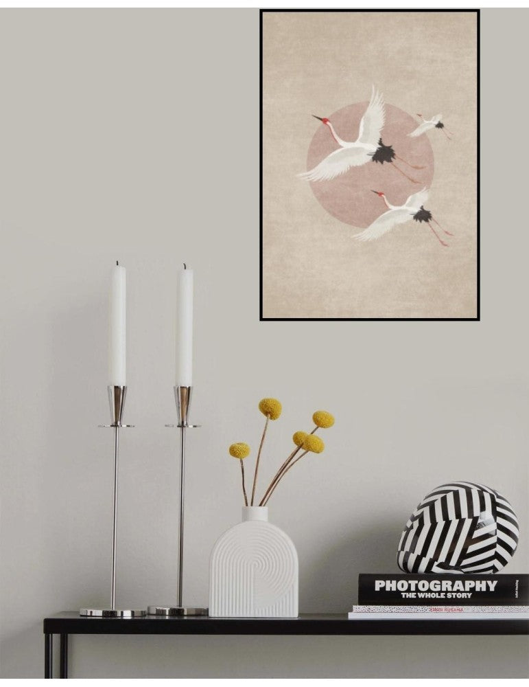 Affisch - Iso Lightt Pelcasa