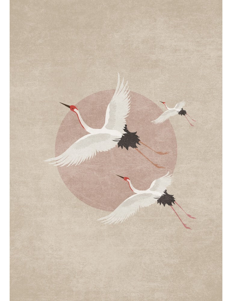 Affisch - Iso Lightt Pelcasa 21x30