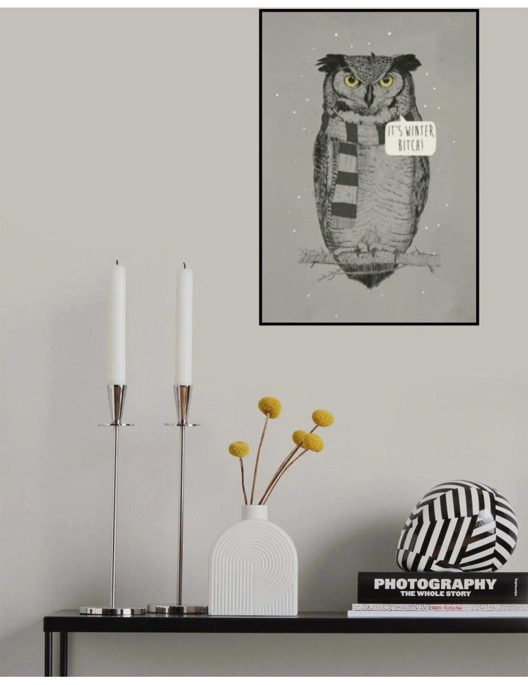 Affisch - It's Winter, Bitch! Pelcasa