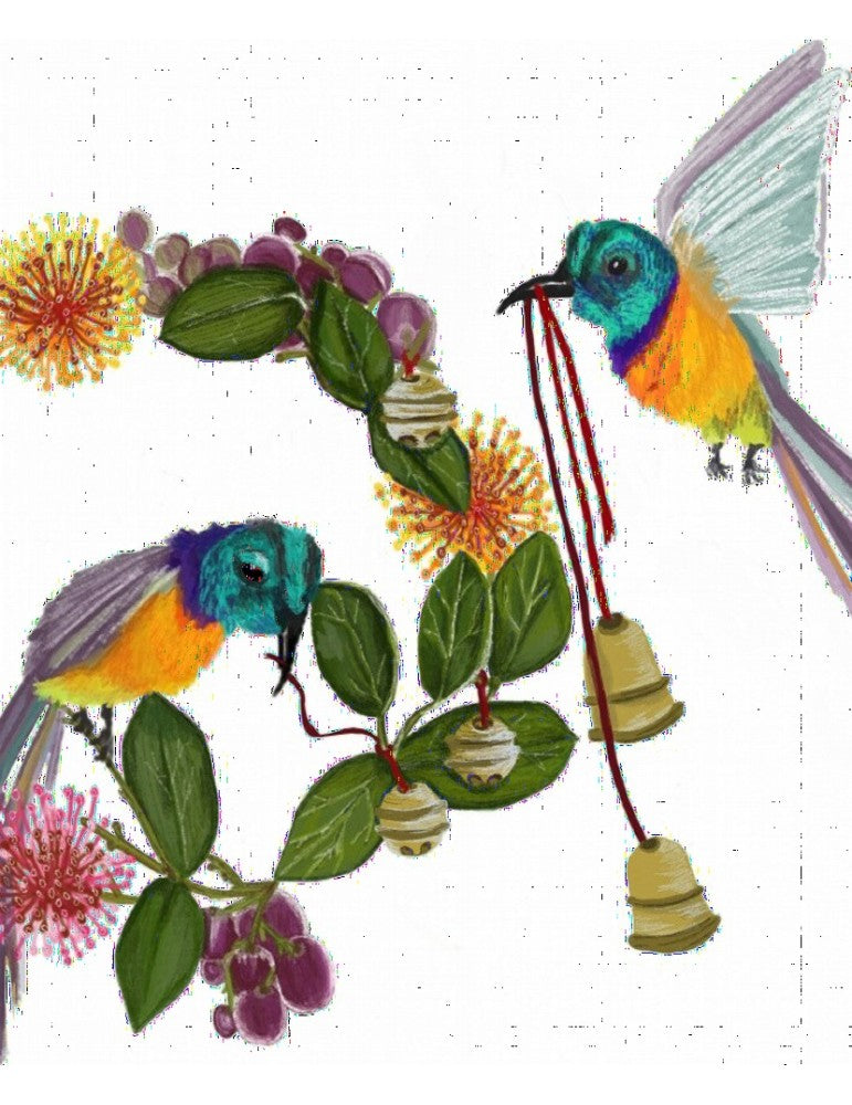 Jingle - Bird Rock Pelcasa 21x30 cm