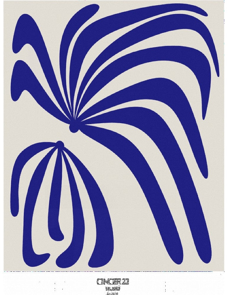 Affisch - New Monstera Pelcasa 21x30