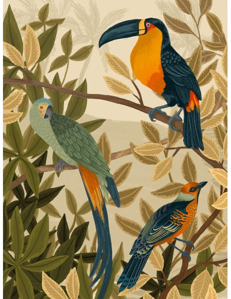 Affisch - Paradise Birds Pelcasa 21x30