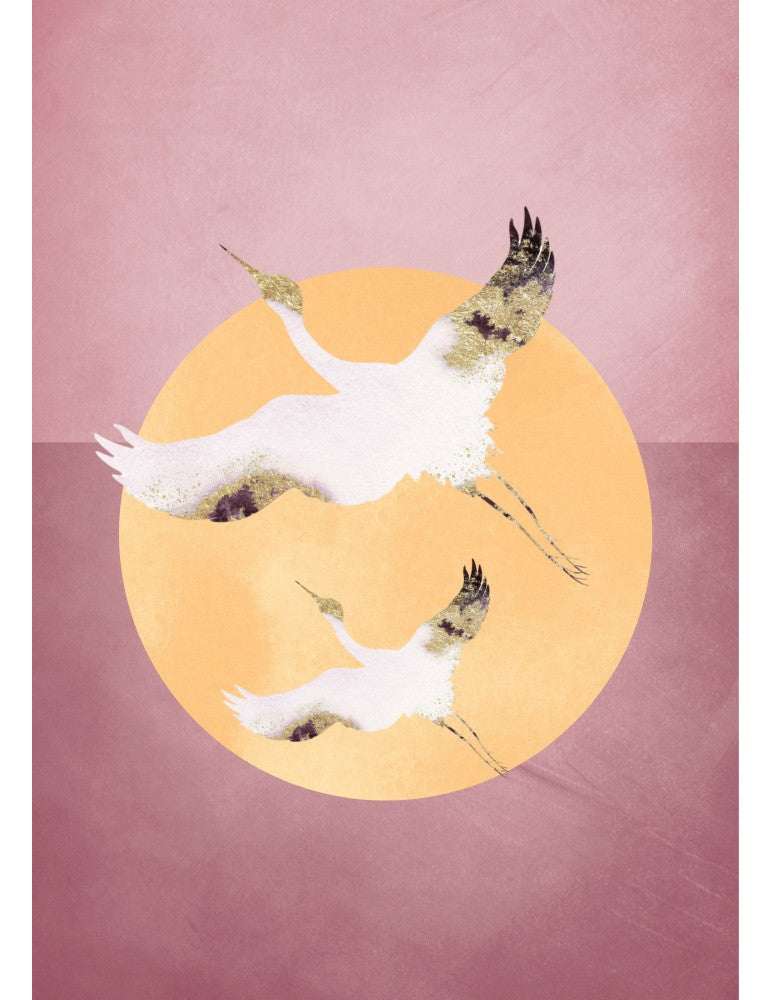 Affisch - Pink Gold Crane Pelcasa 70x100