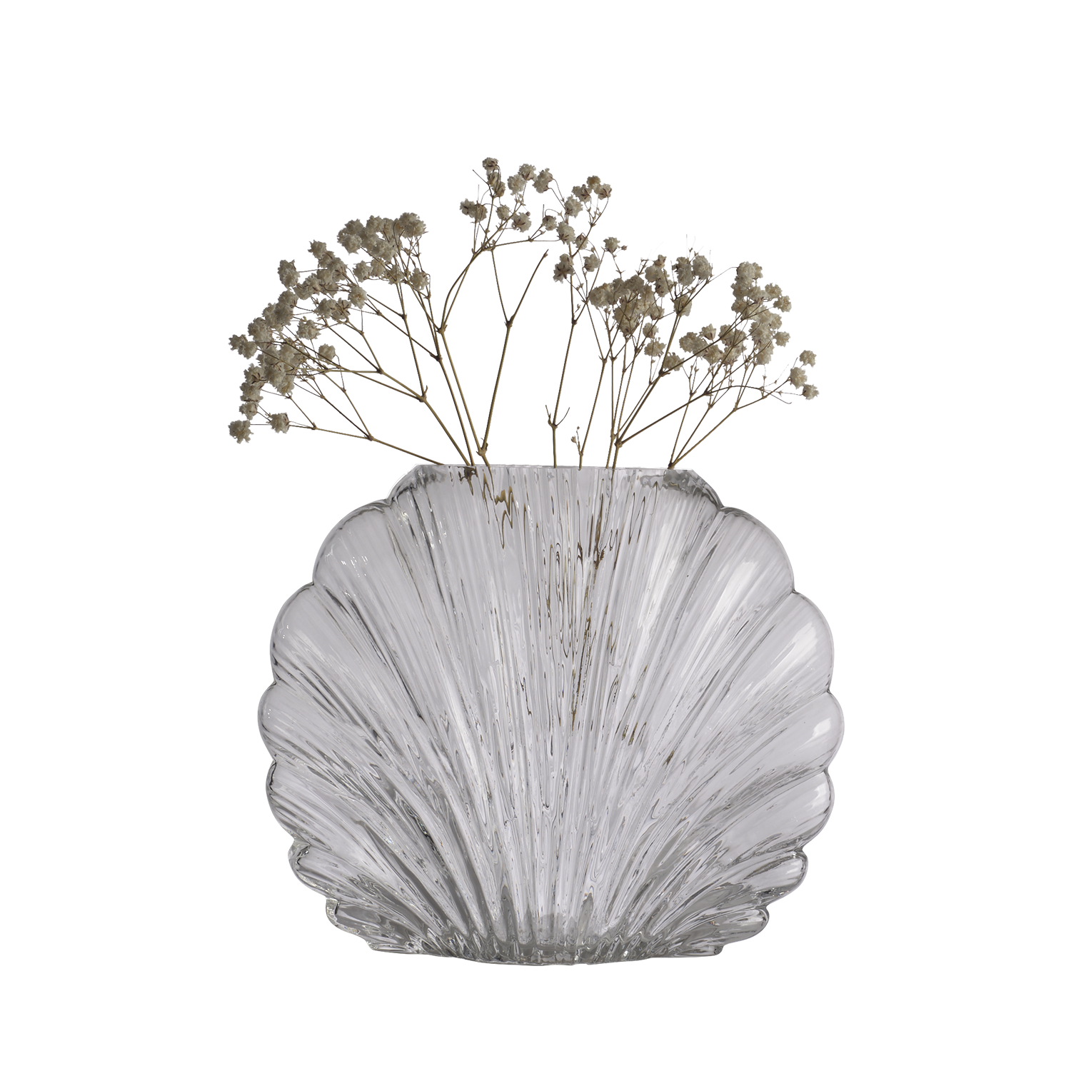 SHELL vas i klart glas med snäckliknande form fylld med skira torkade blommor mot svart bakgrund.