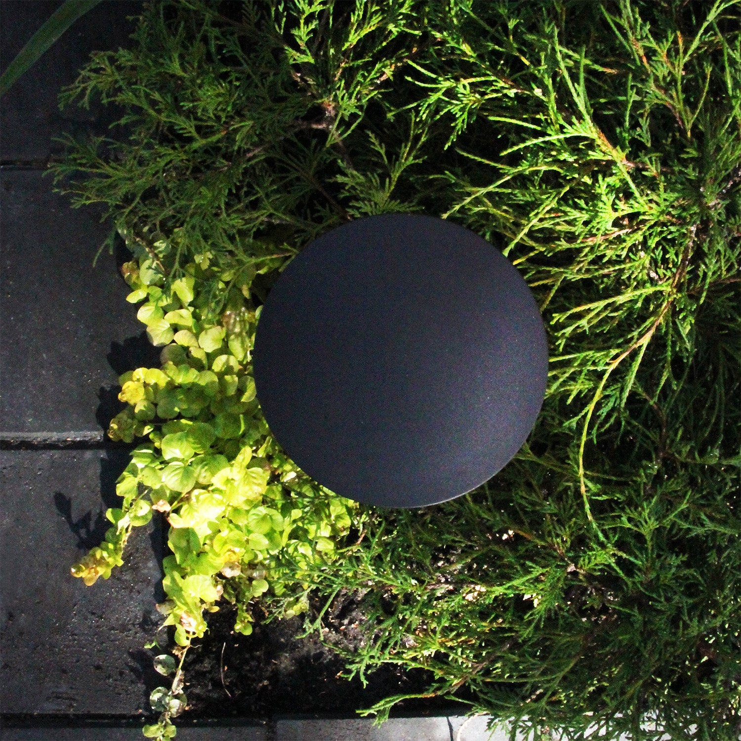 Orbit Pollare LightsOn Garden Plug & Play