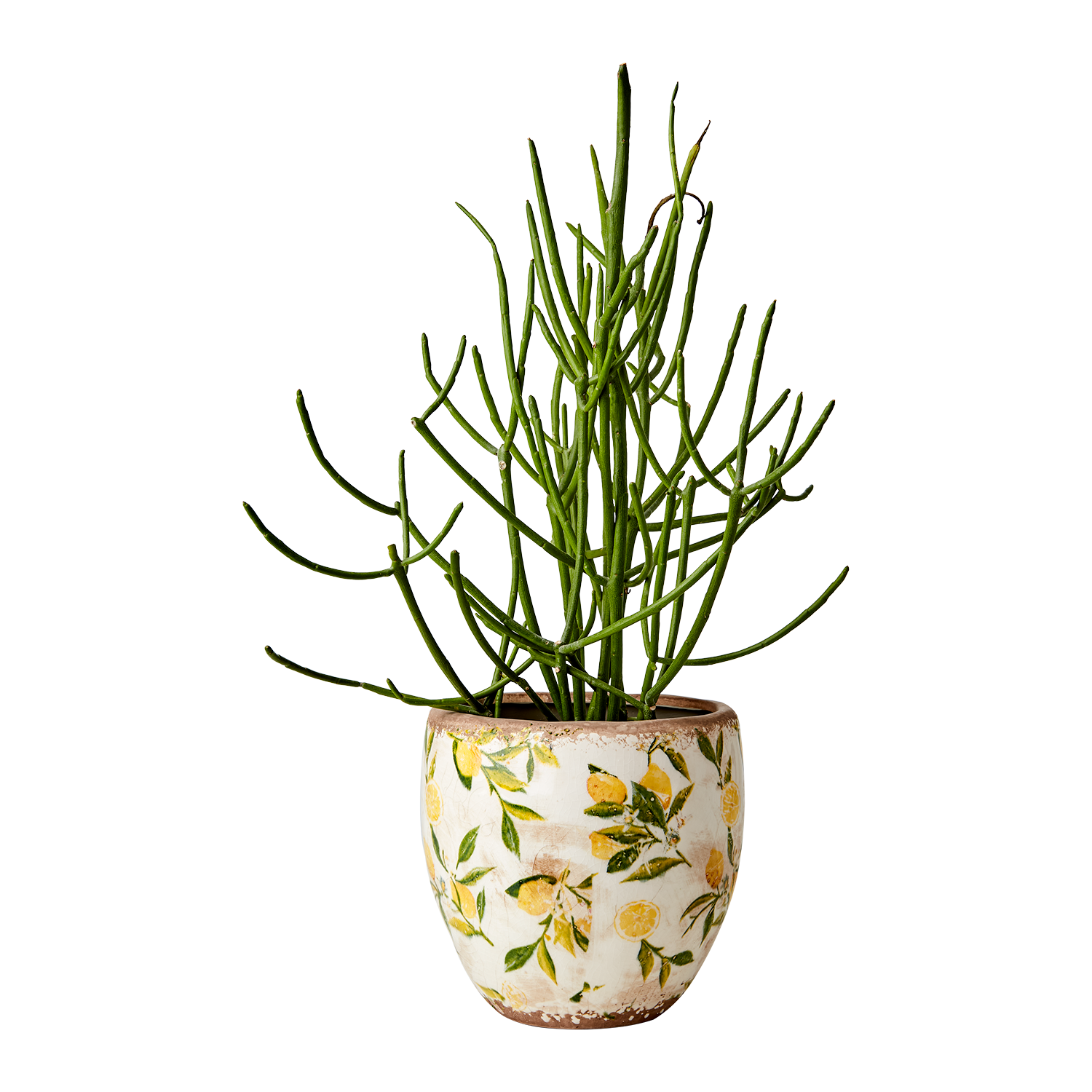 LEMONA Kruka M, Vit/grön/gul Affari of Sweden