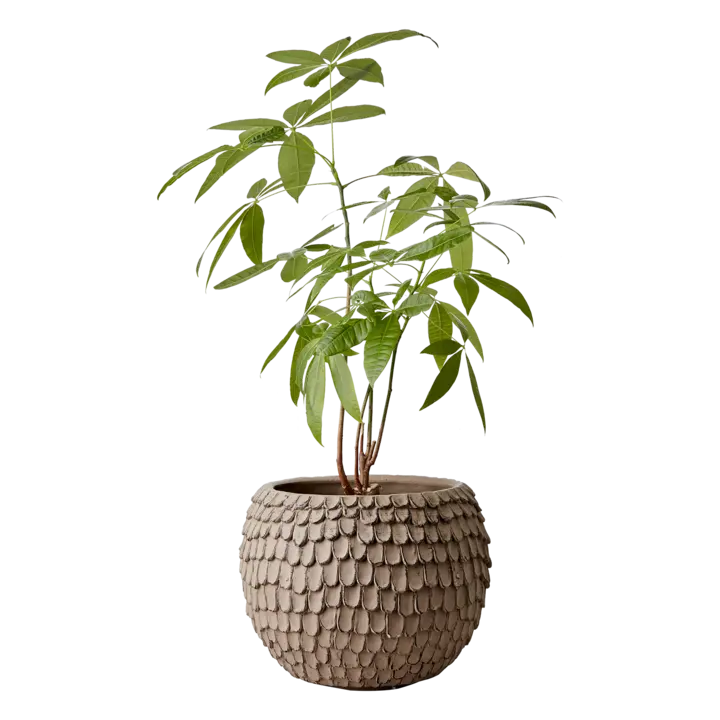 FUDGE Kruka 25 cm – Nougatbrun från Affari of Sweden