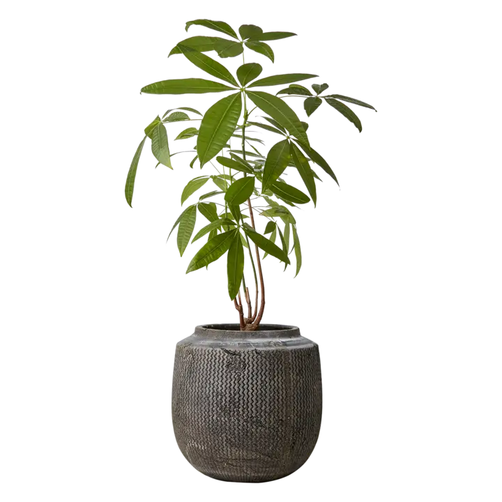 CINO Kruka 28 cm – Brun från Affari of Sweden
