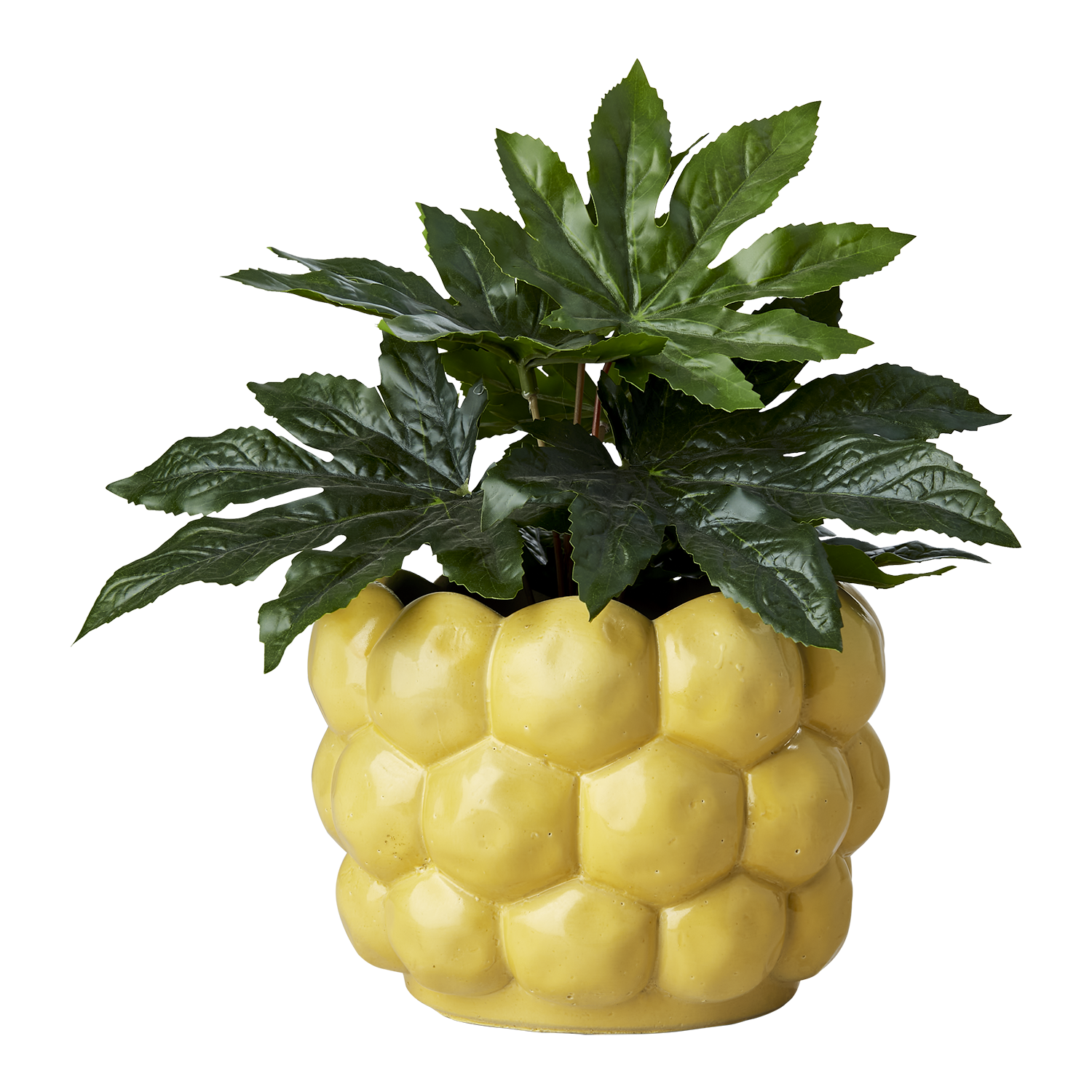 ADA Kruka, Gul Affari of Sweden