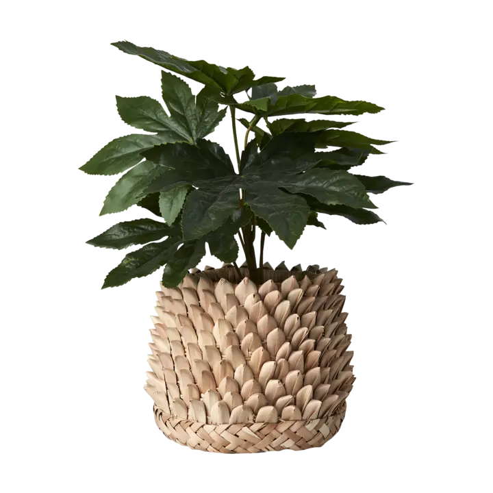 SPIKY Kruka 16 cm – Natur från Affari of Sweden