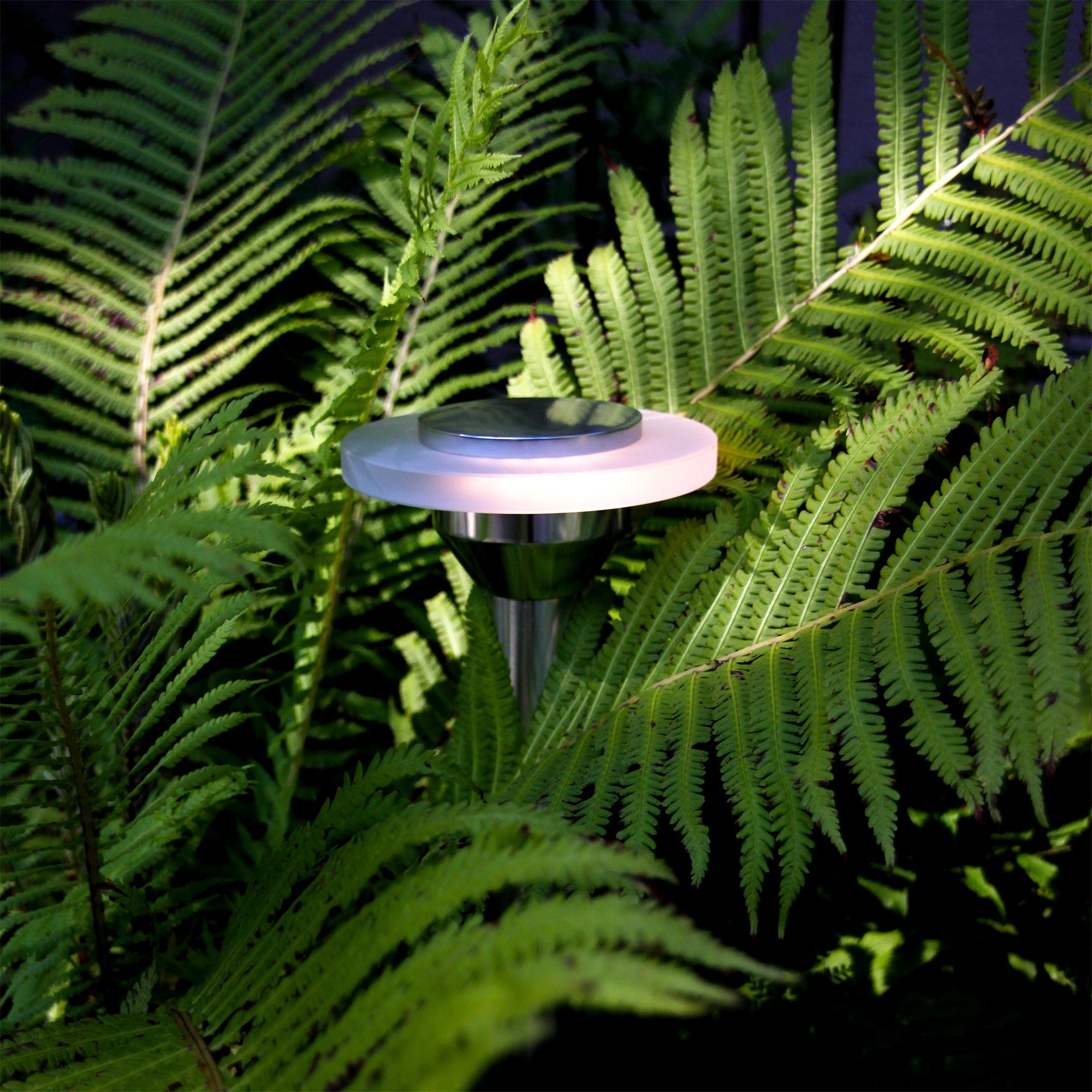 Ellips Pollare LightsOn Garden Plug & Play