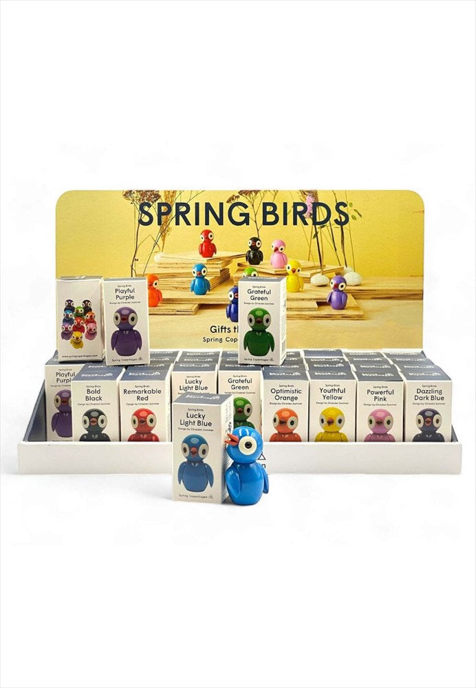 Butiksdisplay med färgglada Spring Birds träfåglar för ett levande lantställe
