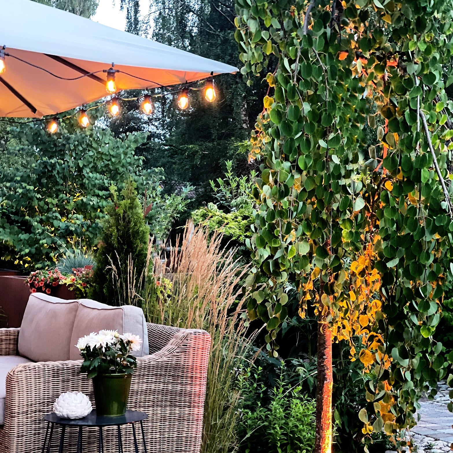 Cosy Start Dekorativ belysning LightsOn Garden Plug & Play