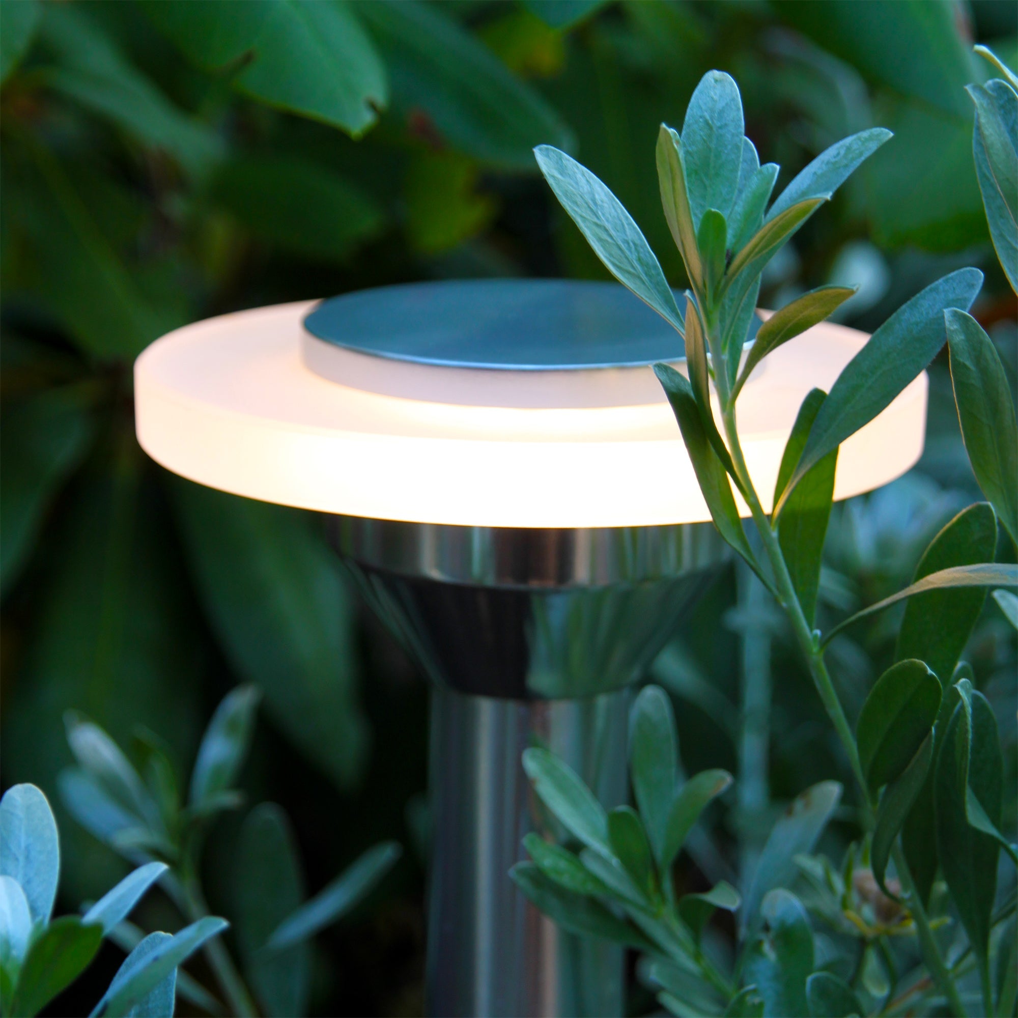 Ellips Pollare LightsOn Garden Plug & Play