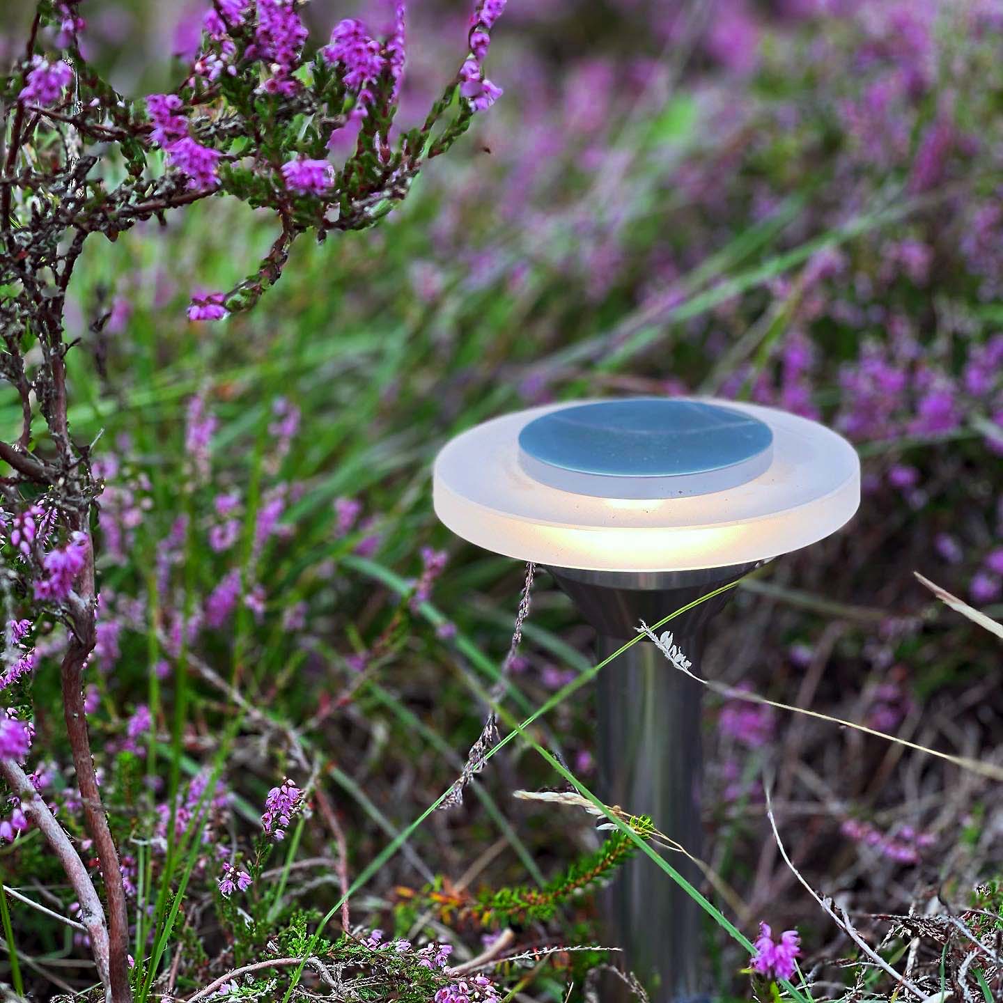 Ellips Pollare LightsOn Garden Plug & Play