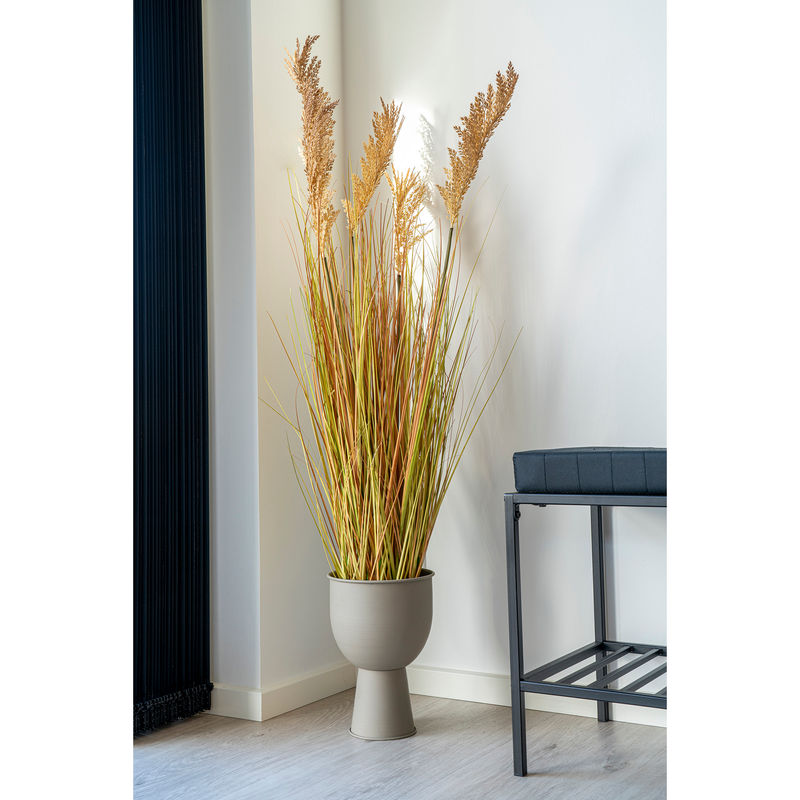Plastväxt - Sorghum gräs House Nordic