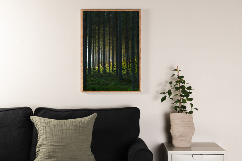 Affisch - Woods - 70x100 - Hemboden